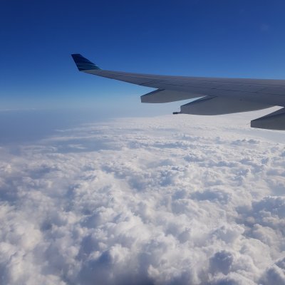 Flugzeug über Wolken