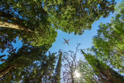 So wird der Luftverkehr nachhaltiger I How aviation is becoming more sustainable
